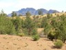 Typical Flinders Ranges