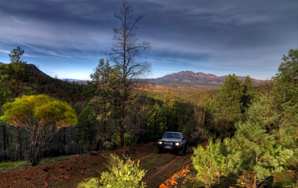 Flinders Ranges Experience Tours