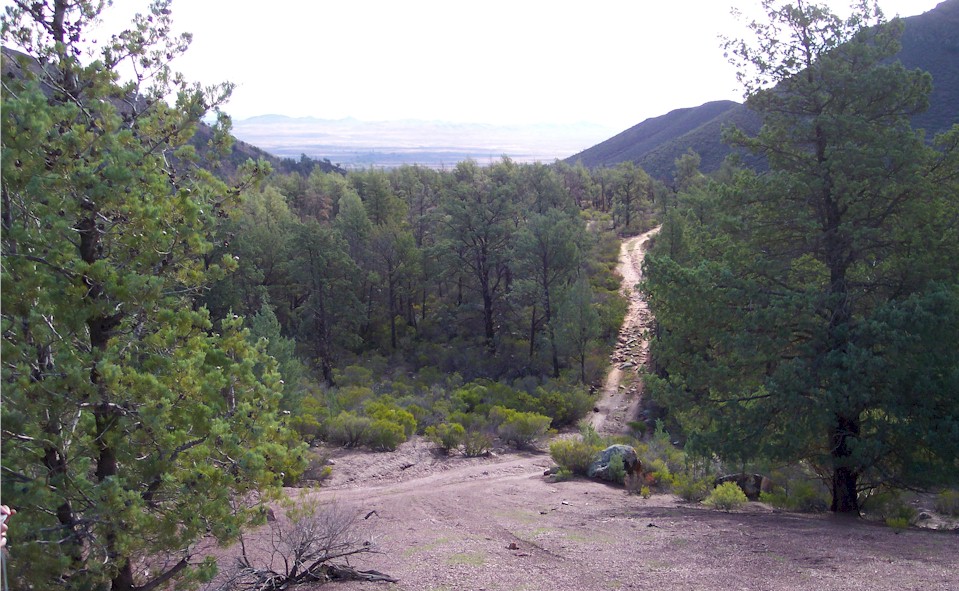 Flinders Ranges Experience Tours