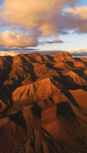Flinders Experience 4WD Tours