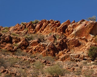 Flinders Ranges Day Tours
