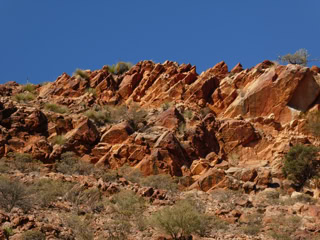 Flinders Ranges Day Tours